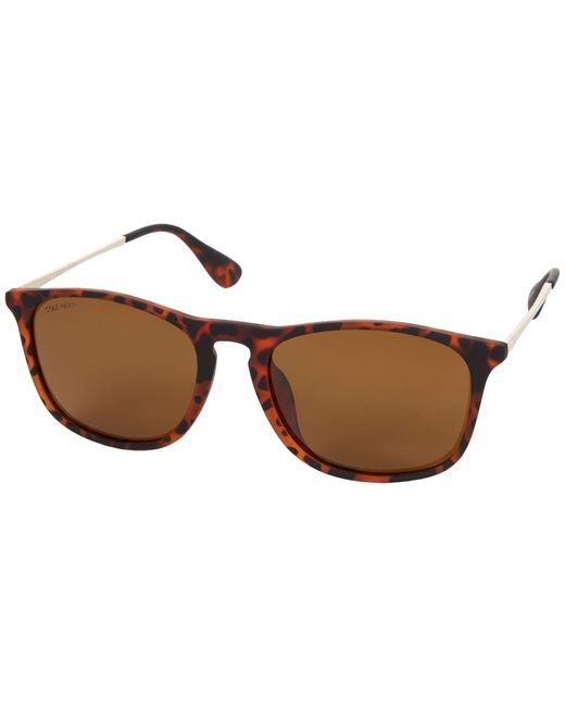 Cole Haan Brown Ch8507 Polarized Square Sunglasses