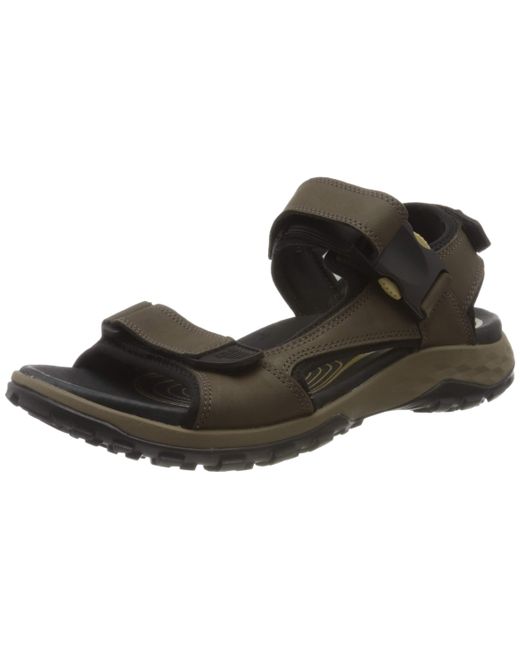 jack wolfskin sandals mens