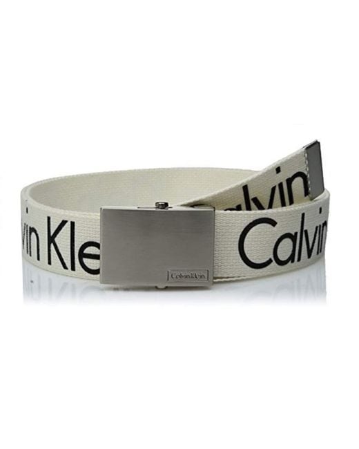 calvin klein webbing belt