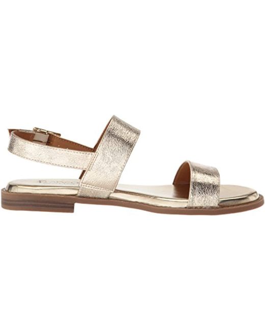 franco sarto velocity