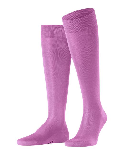 Esprit Purple Falke Tiago M Kh Fil D'écosse Cotton Long Plain 1 Pair Knee-high Socks for men