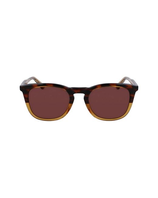 Calvin Klein Multicolor Brown Havana with Solid Brown