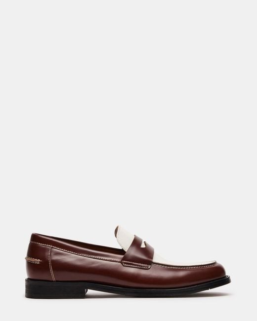 Steve Madden NATAN BROWN MULTI für Herren