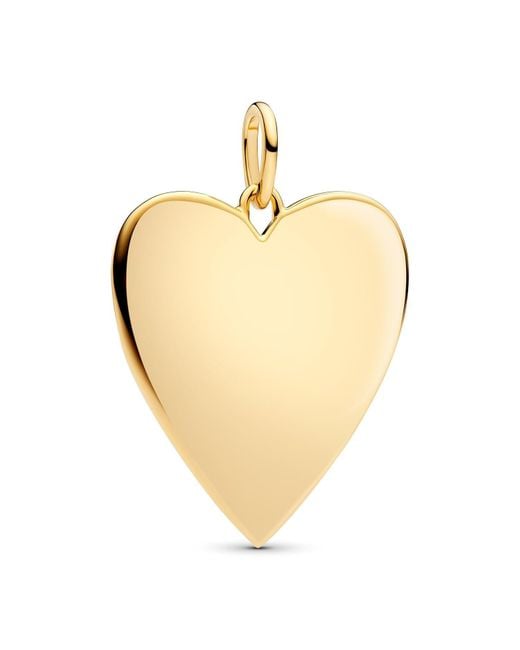 Pendentif 364016C00 Pandora en coloris Natural