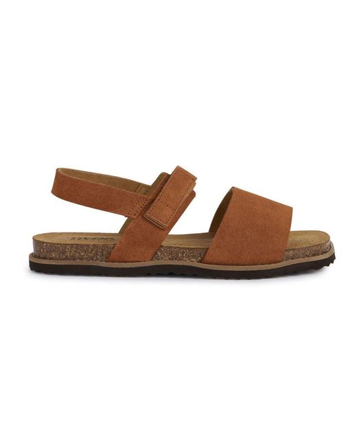 D Leuca C di Geox in Brown