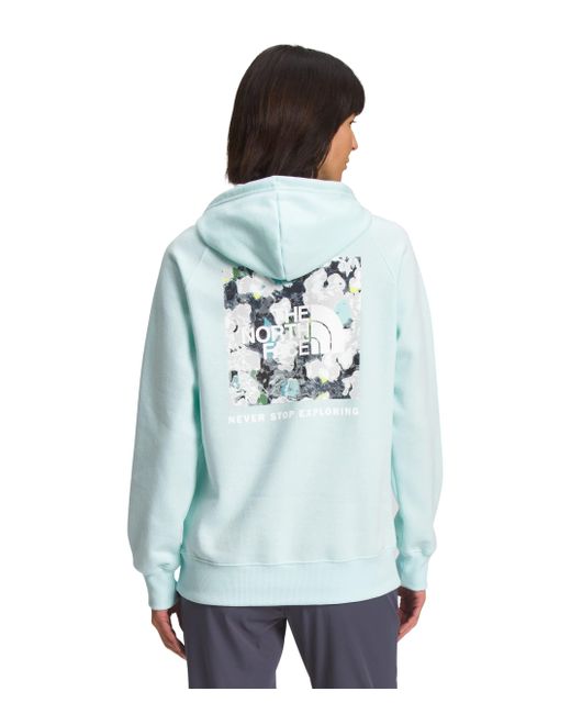 The North Face Blue Box Nse Pullover Hoodie