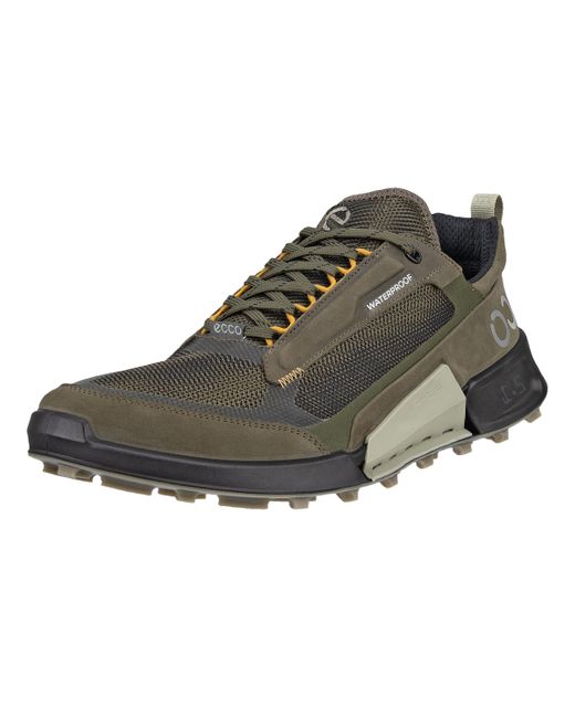 Ecco Biom 2.1 Cross Mountain Waterproof Low Trail Running Shoe in Green for  Men | Lyst