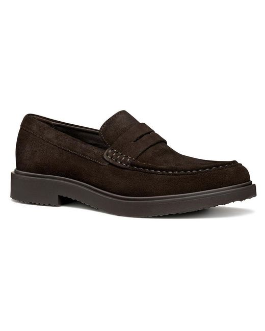U Massimiano di Geox in Brown da Uomo