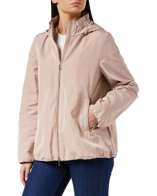 Chaquetas Geox Hombre | Dereck Hombre: Chaqueta Acolchada Haya ® Oi 20/21  Haya ⋆ Longdnguyen