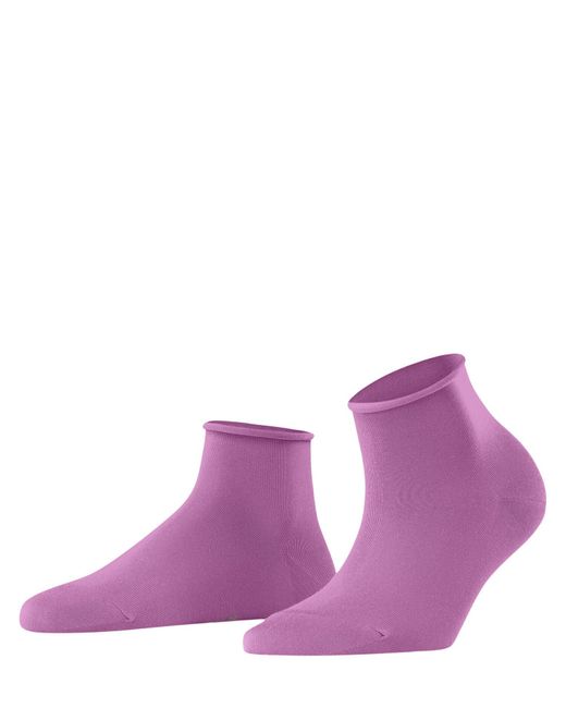 Falke Purple Touch W Sso Cotton Plain 1 Pair Short Socks