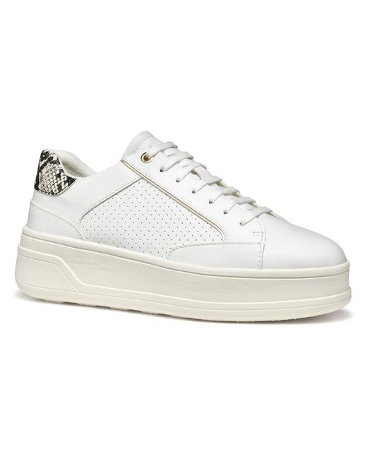Spherica Ecub-2 Trainers EU 39 di Geox in White