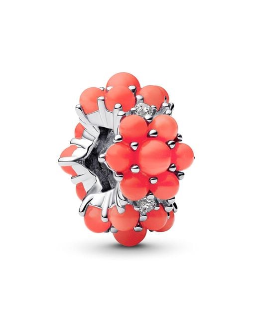 Pandora Bedel Voor Sterling Zilver 925 793897c01 in het Red