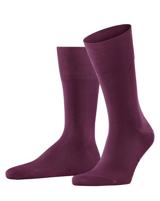 Falke Purple Socken Tiago M SO Fil D'Ecosse Baumwolle einfarbig 1 Paar