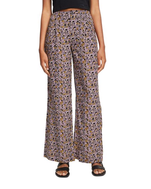 042cc1b319 Pantaloni di Esprit in Multicolor