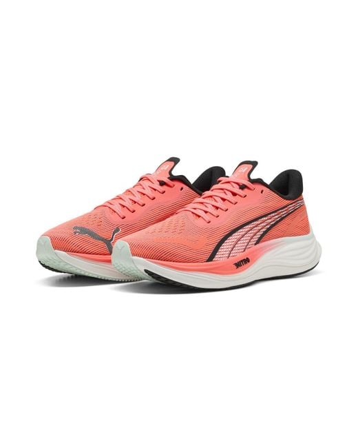 Scarpe Da Running Velocity Nitro 3 Da Uomo di PUMA in Pink da Uomo