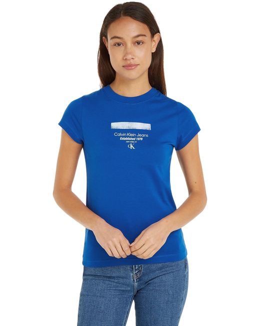 Calvin Klein Blue Stripe Logo MODERN Straight Tee S/S T-Shirts