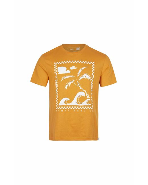 O'neill Sportswear Orange End T-shirt for men