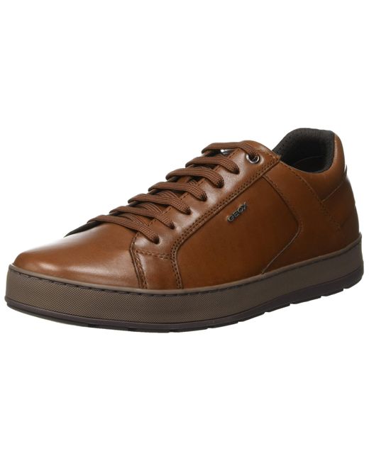 Geox U Ariam D Low-top Sneakers, in Brown for Men - Save 5% - Lyst