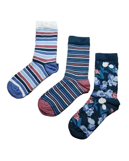 Ted Baker Blue Maxfour Ladies Socks Set 3pack Assorted Colours