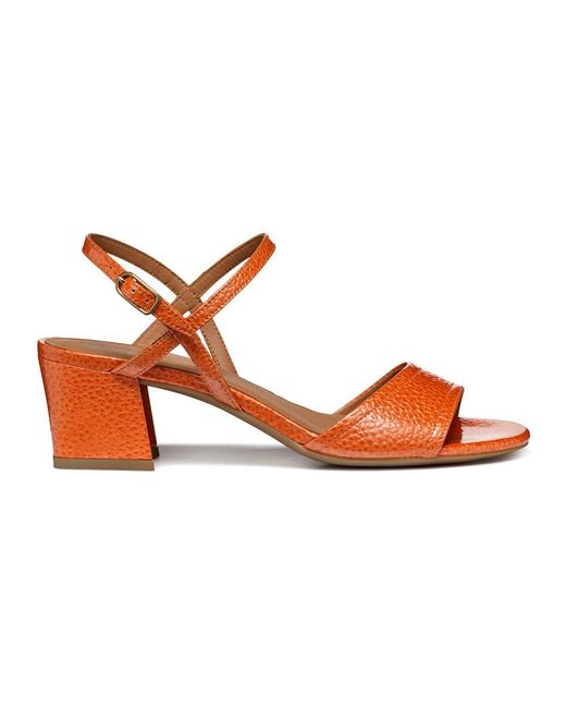 D New Eraklia 50 di Geox in Brown