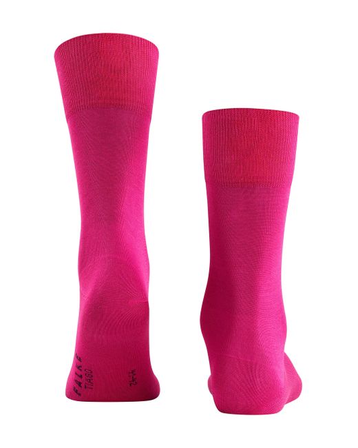 Falke Purple Tiago M So Cotton Plain 1 Pair Socks