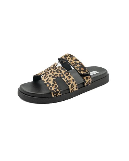 Sandalo MISSILE - Leopard (maculato, Sistema Taglie Calzature EU, Adulto, Donna, Numero, Media, 37.5) di Steve Madden in Brown