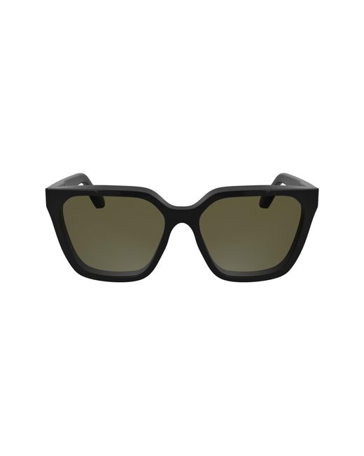 Black with Solid Brown di Calvin Klein in Green
