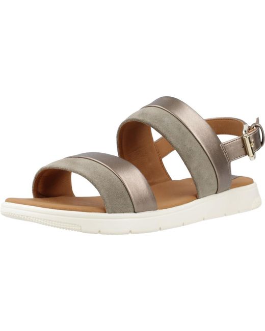 D Dandra A di Geox in Brown