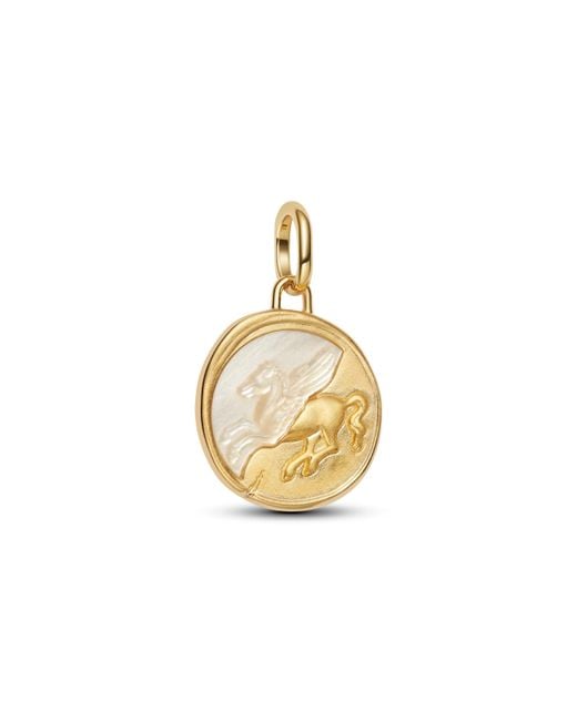 Medaglione 764090C01 di Pandora in Metallic