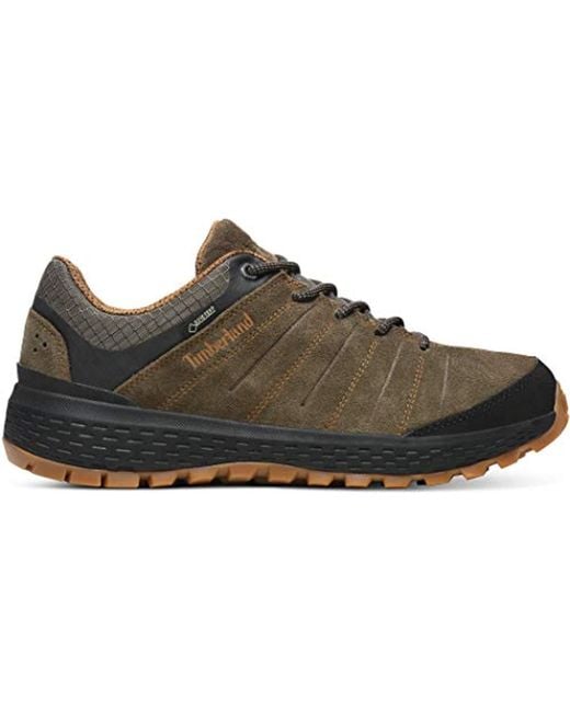 Timberland Multicolor Parker Ridge Low Gtx Shoes Grape Leaf Shoe Size Us 11 | Eu 45 2019 for men