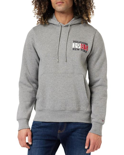 Tommy Hilfiger Gray Hoodie New York Flag for men