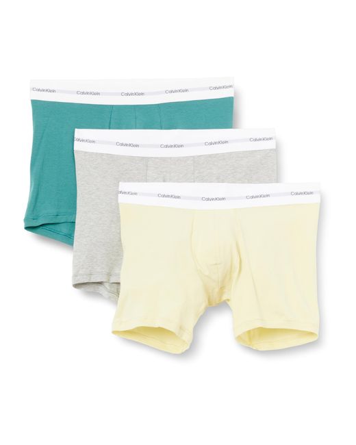 Uomo Slip Boxer Confezione da 3 con Fascia con Logo di Calvin Klein in White da Uomo