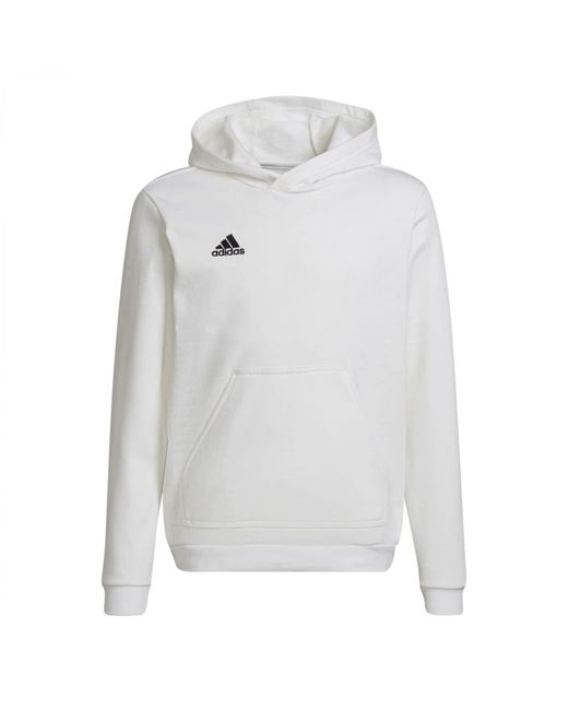 Adidas Entrada 22 Sweat Hoodie Sweatshirt -kind in het White