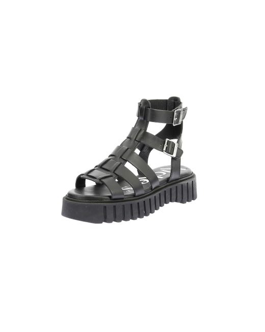 Fabiola di Kickers in Black