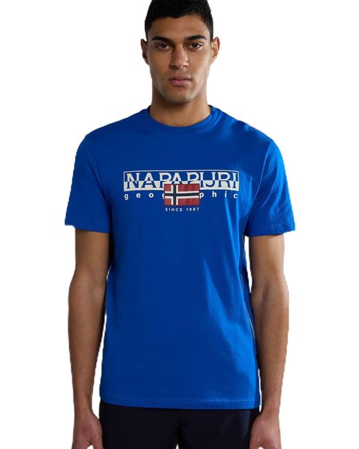 Napapijri Blue Aylmer Crew Neck T-shirt for men