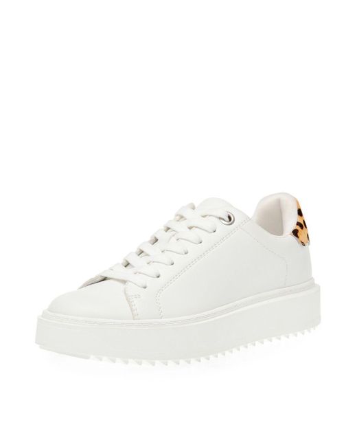 Steve Madden White Charlie Sneaker