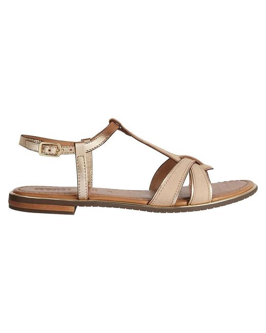 D Sozy Plus di Geox in Brown