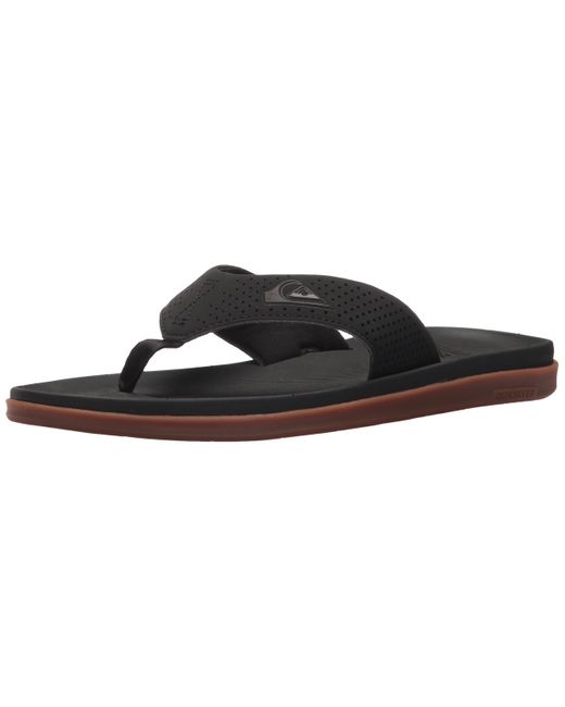 quiksilver haleiwa plus