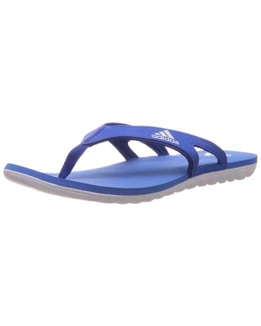adidas Calo 5 Flip Flops Royal Blue/white for Men | Lyst UK