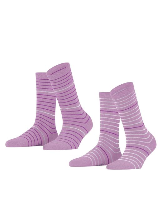 Falke Purple Fine Stripe 2-pack Socks