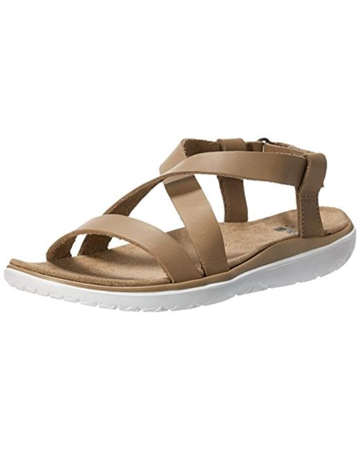 terra float livia lux