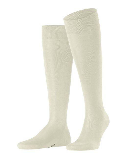 Falke Natural Tiago M Kh Fil D'écosse Cotton Long Plain 1 Pair Knee-high Socks for men