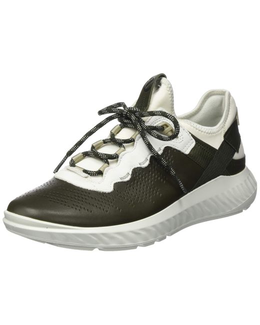 ecco orange outlet