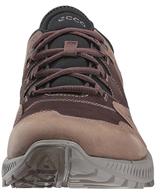 ecco men's terrawalk hiking shoe