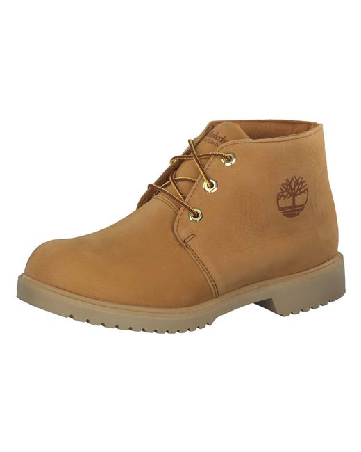 timberland courma guy