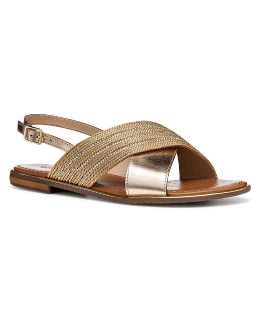 D Sozy Plus E di Geox in Brown