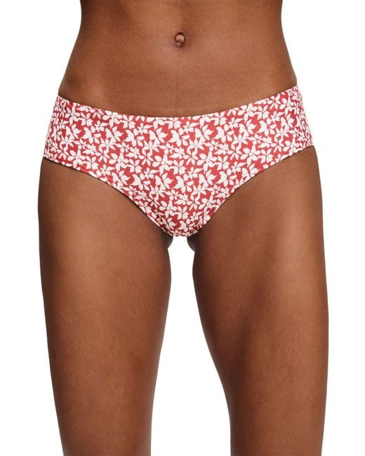 Calusa Beach SSN N Rcss.Hip.Shorts Bragas de Bikini Esprit de color Red