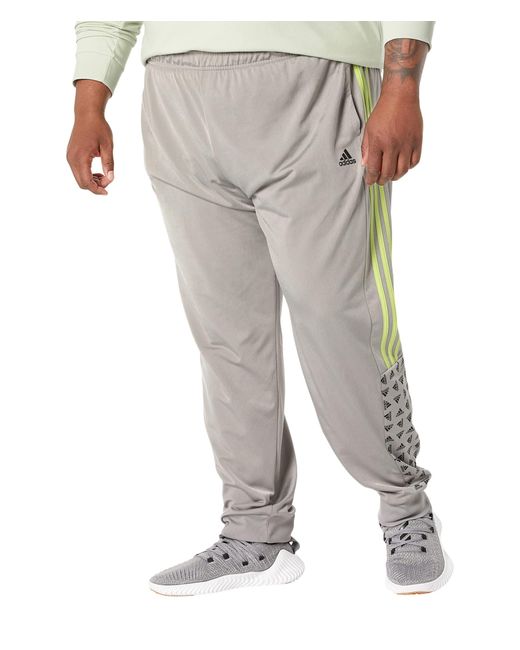 adidas Big Tall Warm-up Tricot Regular Badge Of Sport Track Pants in Grey  for Men | Lyst UK