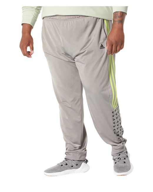 Buy Berge Men Instadry® Jogger - Regular Fit Warm up