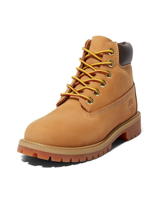 Timberland Brown Youth Premium 6 Inch Lace Up Waterproof Boot for men